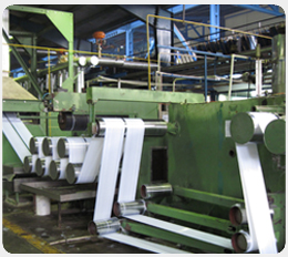 Polyester CP Plant